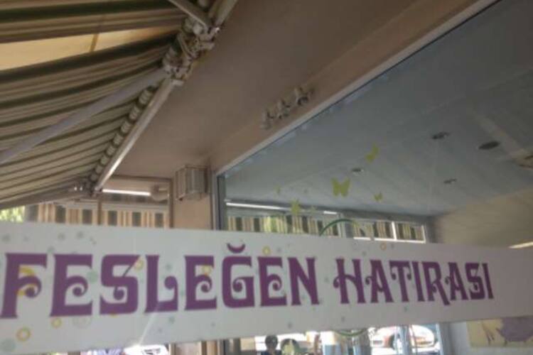 Feslegen